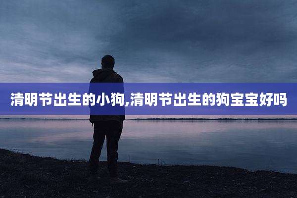 清明节出生的小狗,清明节出生的狗宝宝好吗