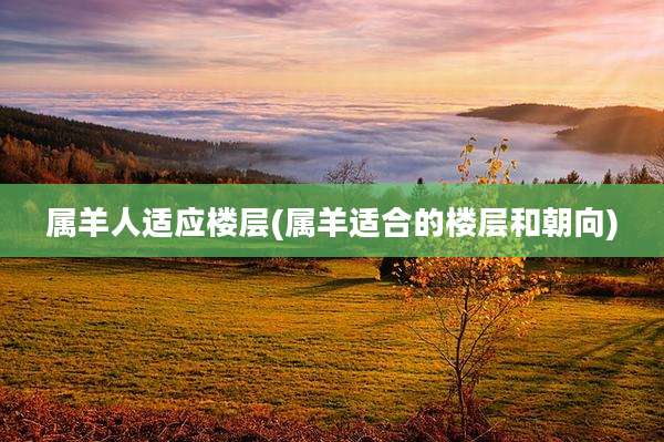 属羊人适应楼层(属羊适合的楼层和朝向)