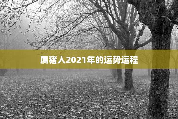 属猪人2021年的运势运程