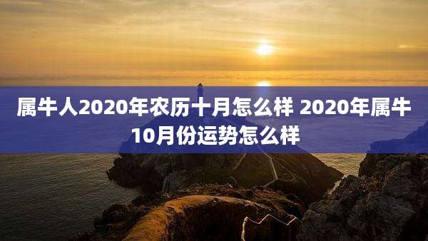属牛人2020年农历十月怎么样 2020年属牛10月份运势怎么样