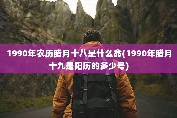 1990年农历腊月十八是什么命(1990年腊月十九是阳历的多少号)