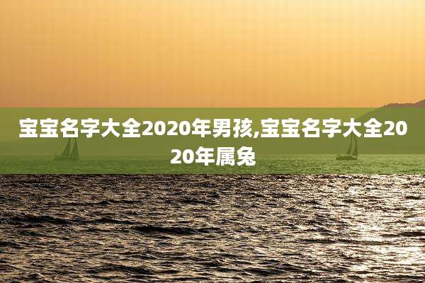 宝宝名字大全2020年男孩,宝宝名字大全2020年属兔