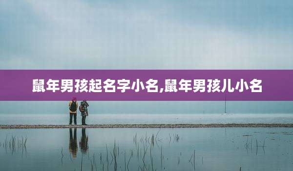 鼠年男孩起名字小名,鼠年男孩儿小名