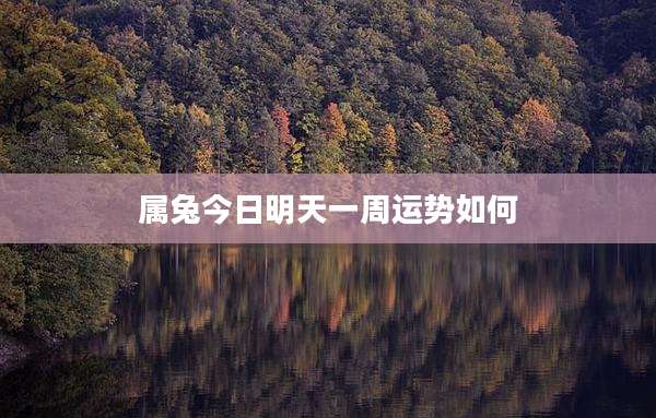 属兔今日明天一周运势如何