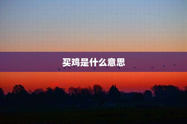 买鸡是什么意思