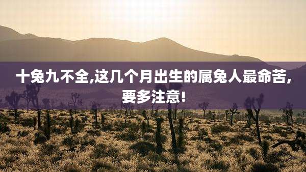 十兔九不全,这几个月出生的属兔人最命苦,要多注意!