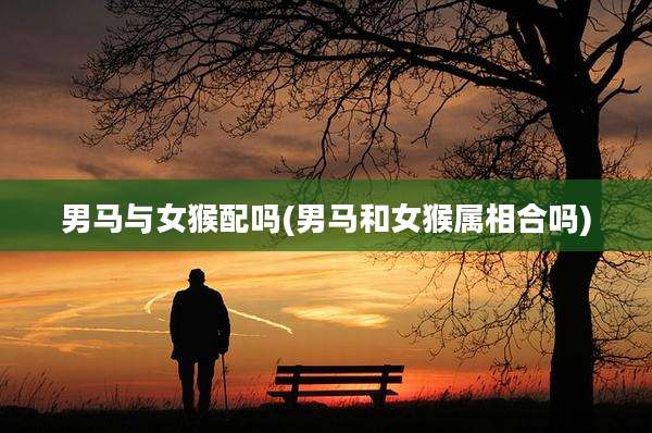 男马与女猴配吗(男马和女猴属相合吗)