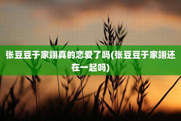 张豆豆于家翊真的恋爱了吗(张豆豆于家翊还在一起吗)