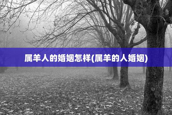 属羊人的婚姻怎样(属羊的人婚姻)