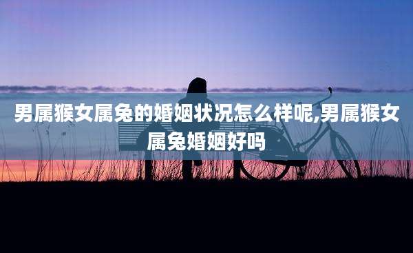 男属猴女属兔的婚姻状况怎么样呢,男属猴女属兔婚姻好吗