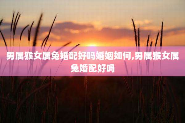 男属猴女属兔婚配好吗婚姻如何,男属猴女属兔婚配好吗