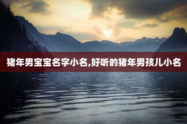 猪年男宝宝名字小名,好听的猪年男孩儿小名
