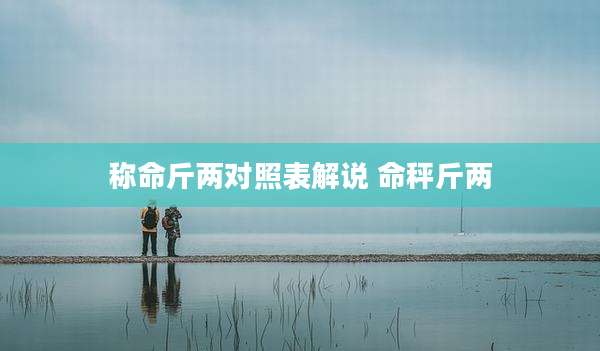 称命斤两对照表解说 命秤斤两