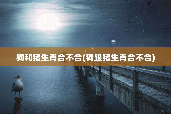 狗和猪生肖合不合(狗跟猪生肖合不合)