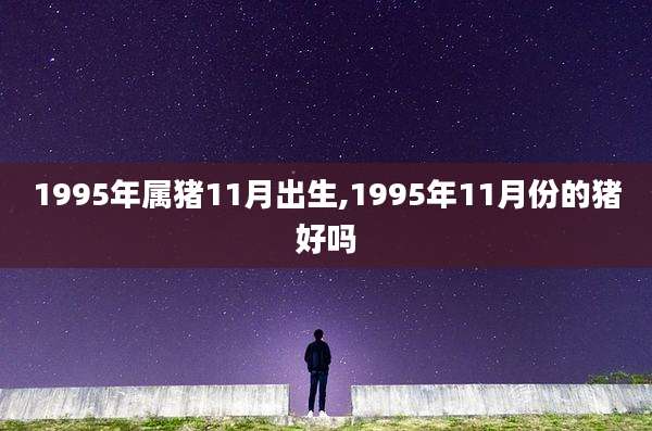 1995年属猪11月出生,1995年11月份的猪好吗