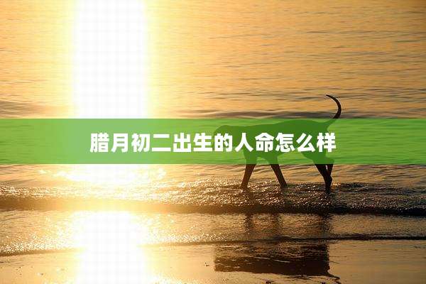 腊月初二出生的人命怎么样