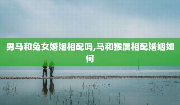 男马和兔女婚姻相配吗,马和猴属相配婚姻如何