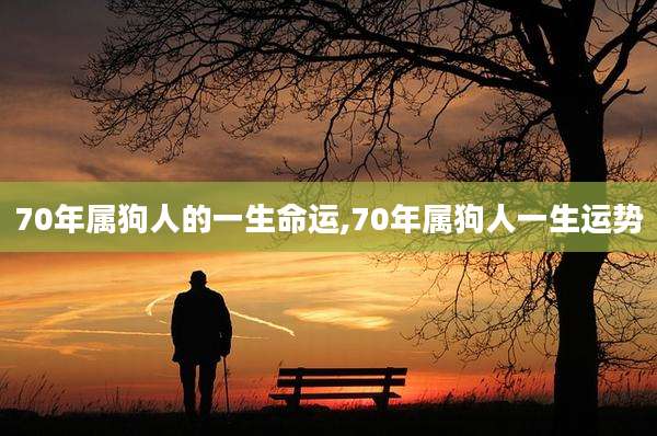 70年属狗人的一生命运,70年属狗人一生运势
