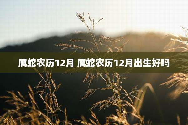 属蛇农历12月 属蛇农历12月出生好吗