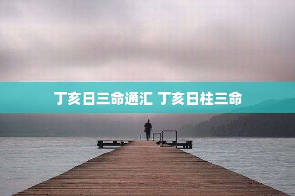 丁亥日三命通汇 丁亥日柱三命