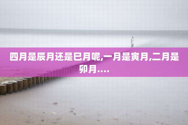 四月是辰月还是巳月呢,一月是寅月,二月是卯月....