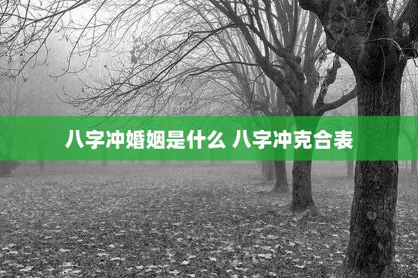 八字冲婚姻是什么 八字冲克合表