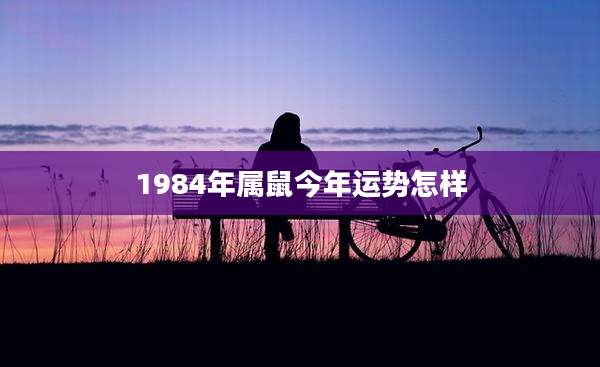 1984年属鼠今年运势怎样