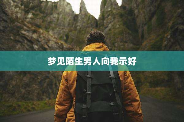 梦见陌生男人向我示好