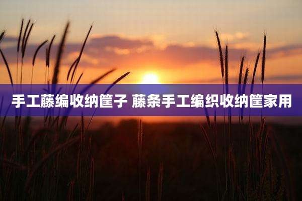 手工藤编收纳筐子 藤条手工编织收纳筐家用