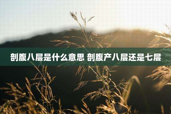 剖腹八层是什么意思 剖腹产八层还是七层