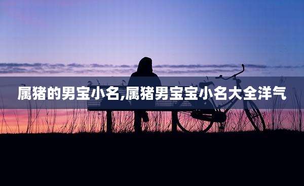 属猪的男宝小名,属猪男宝宝小名大全洋气