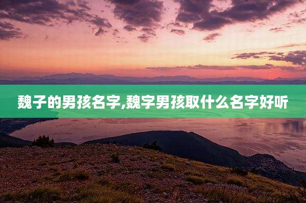 魏子的男孩名字,魏字男孩取什么名字好听