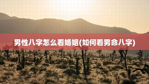 男性八字怎么看婚姻(如何看男命八字)