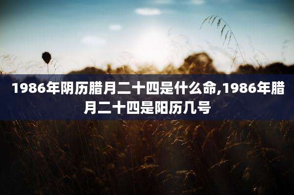 1986年阴历腊月二十四是什么命,1986年腊月二十四是阳历几号