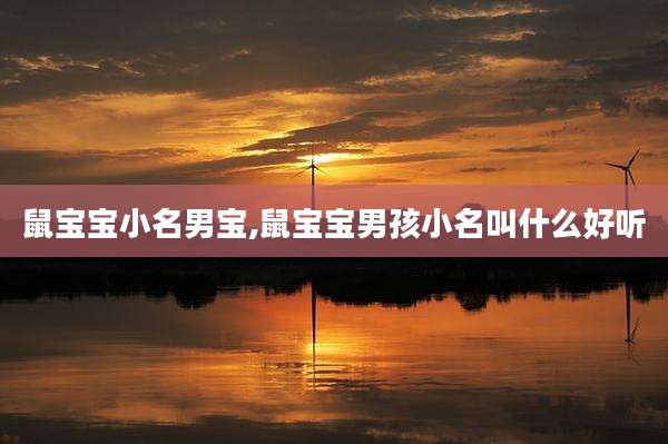 鼠宝宝小名男宝,鼠宝宝男孩小名叫什么好听