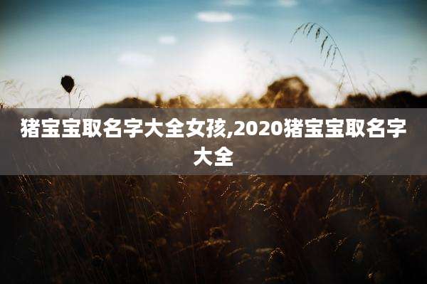 猪宝宝取名字大全女孩,2020猪宝宝取名字大全