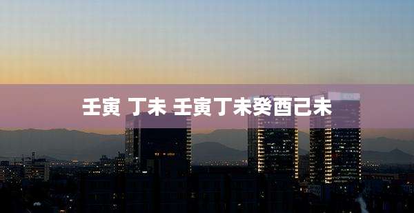 壬寅 丁未 壬寅丁未癸酉己未