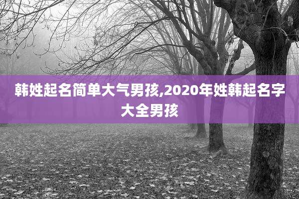 韩姓起名简单大气男孩,2020年姓韩起名字大全男孩