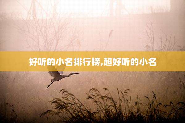 好听的小名排行榜,超好听的小名