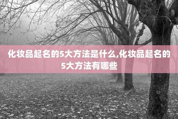 化妆品起名的5大方法是什么,化妆品起名的5大方法有哪些
