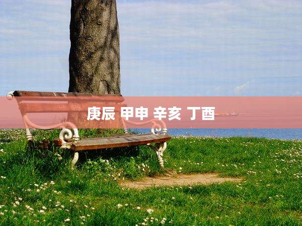 庚辰 甲申 辛亥 丁酉