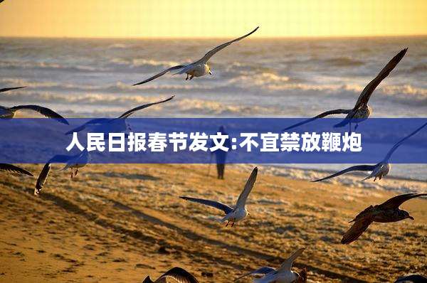 人民日报春节发文:不宜禁放鞭炮