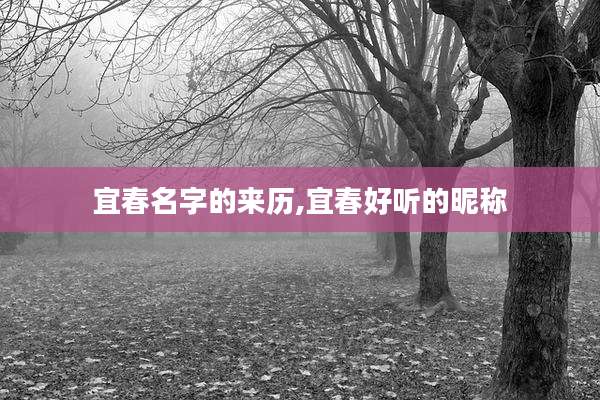 宜春名字的来历,宜春好听的昵称