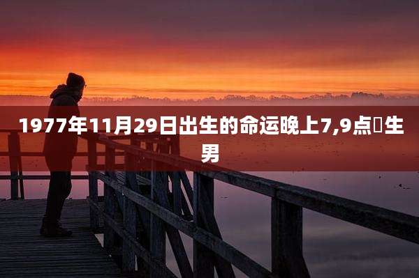 1977年11月29日出生的命运晚上7,9点岀生男