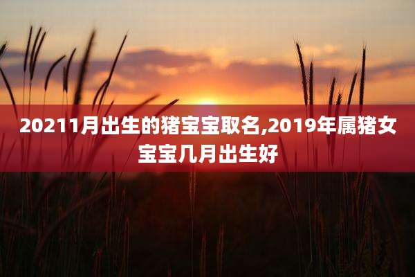 20211月出生的猪宝宝取名,2019年属猪女宝宝几月出生好