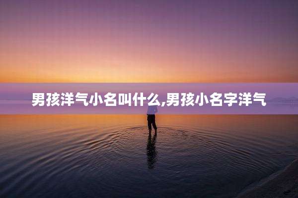 男孩洋气小名叫什么,男孩小名字洋气