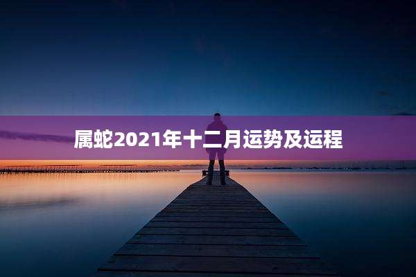 属蛇2021年十二月运势及运程