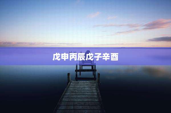 戊申丙辰戊子辛酉