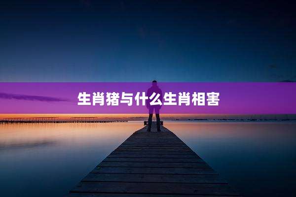 生肖猪与什么生肖相害