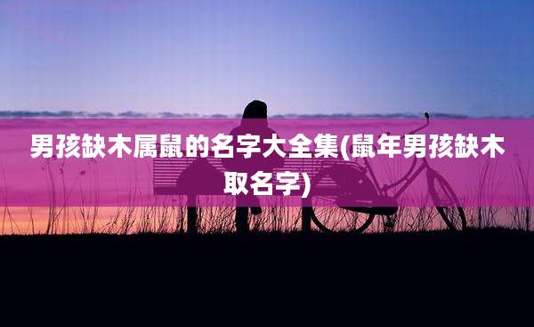 男孩缺木属鼠的名字大全集(鼠年男孩缺木取名字)